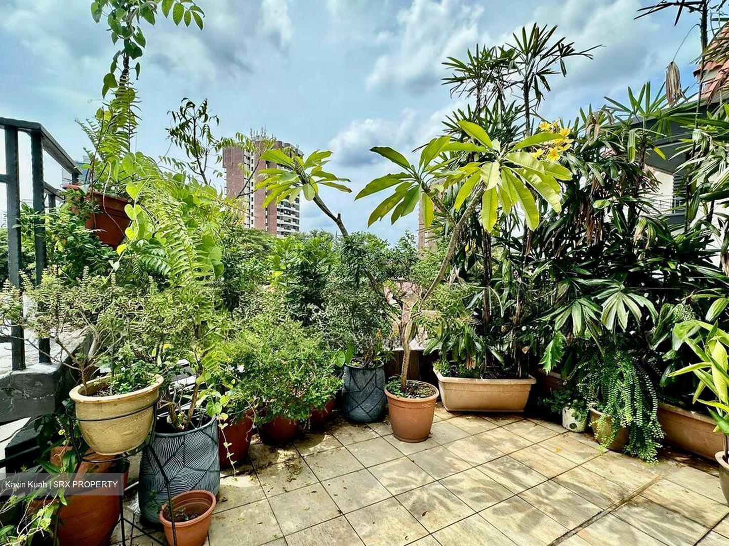 The Taipan (D16), Apartment #505002751